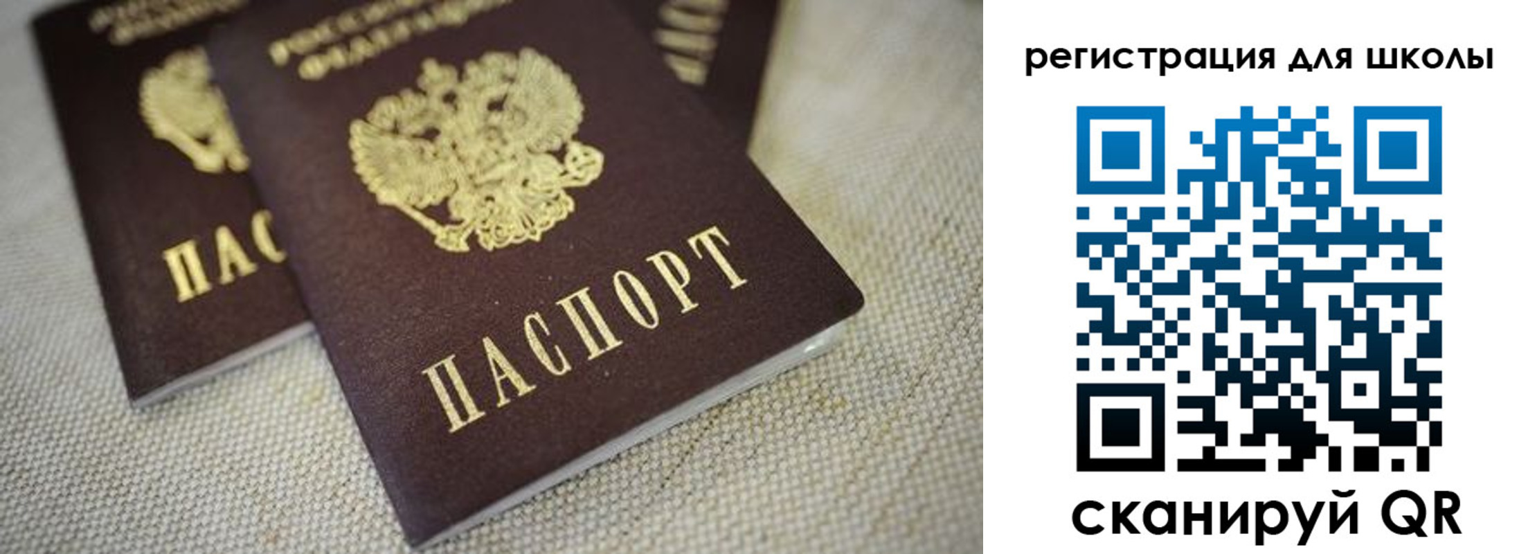 прописка в квартире в Пионерском